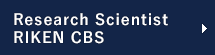 Research Scientist, RIKEN CBS
